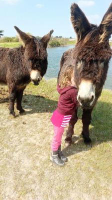 Une rencontre