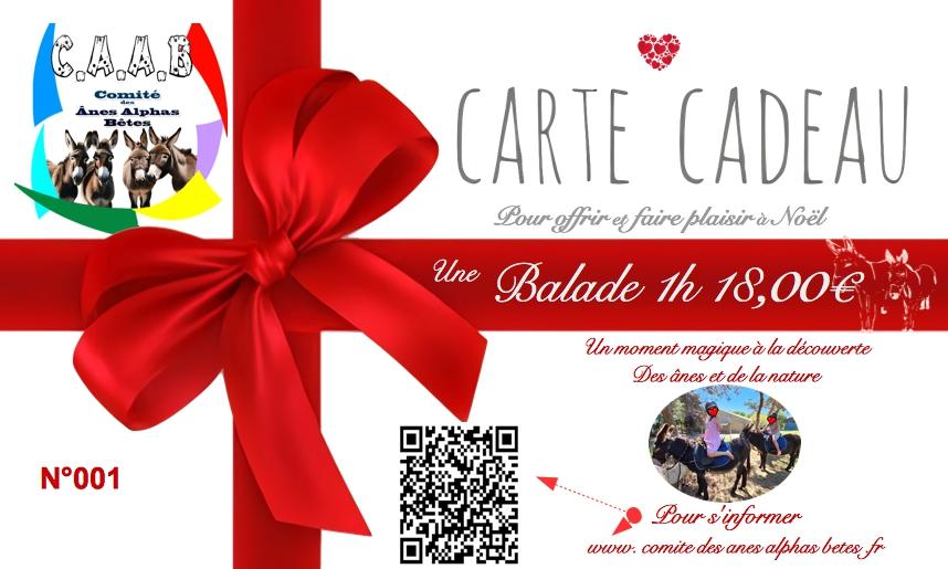 Carte cadeau balade 1h