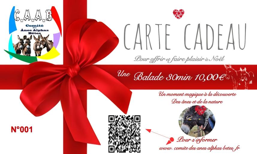 Carte cadeau balade 30 min