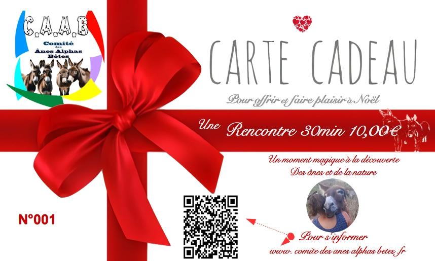 Carte cadeau rencontre 30 min